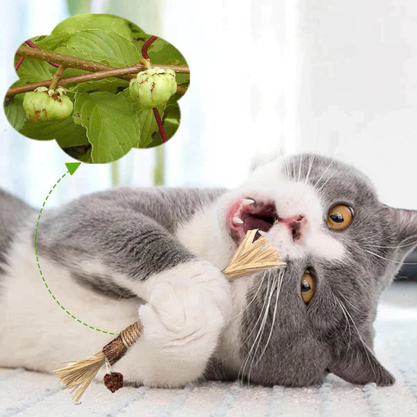 ScratchNest | Krabpaal voor katten van karton met kattenkruid