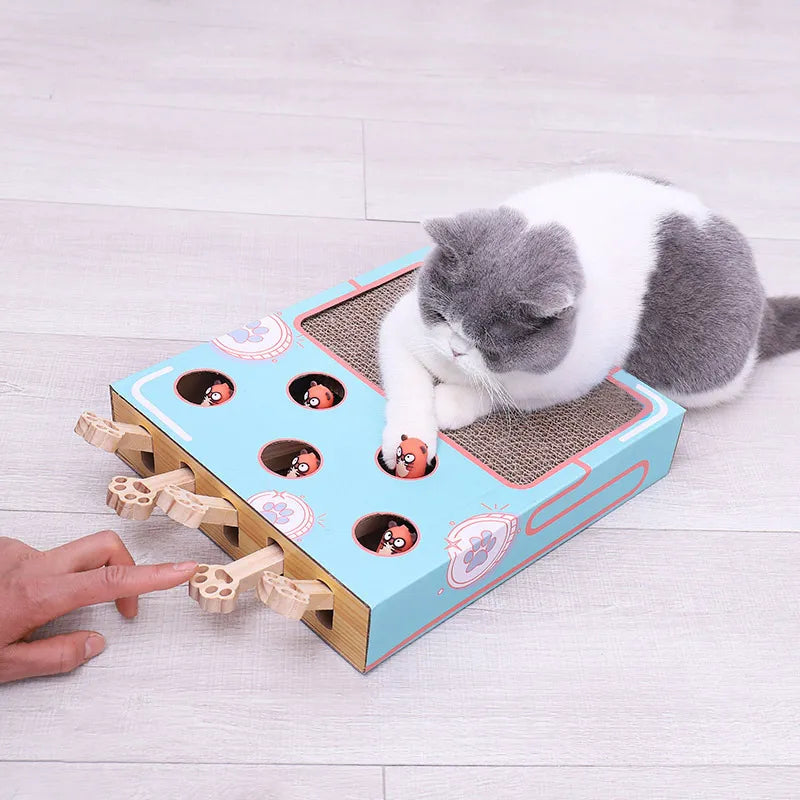 Simba | Krab- en Speelmat voor katten