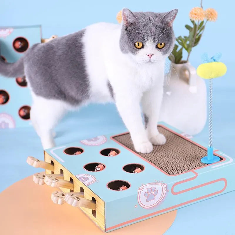 Simba | Krab- en Speelmat voor katten