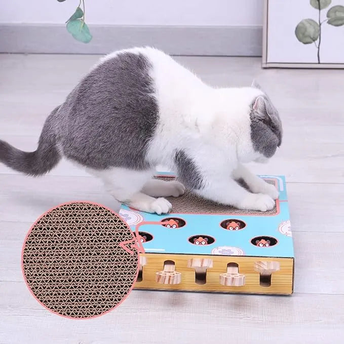 Simba | Krab- en Speelmat voor katten