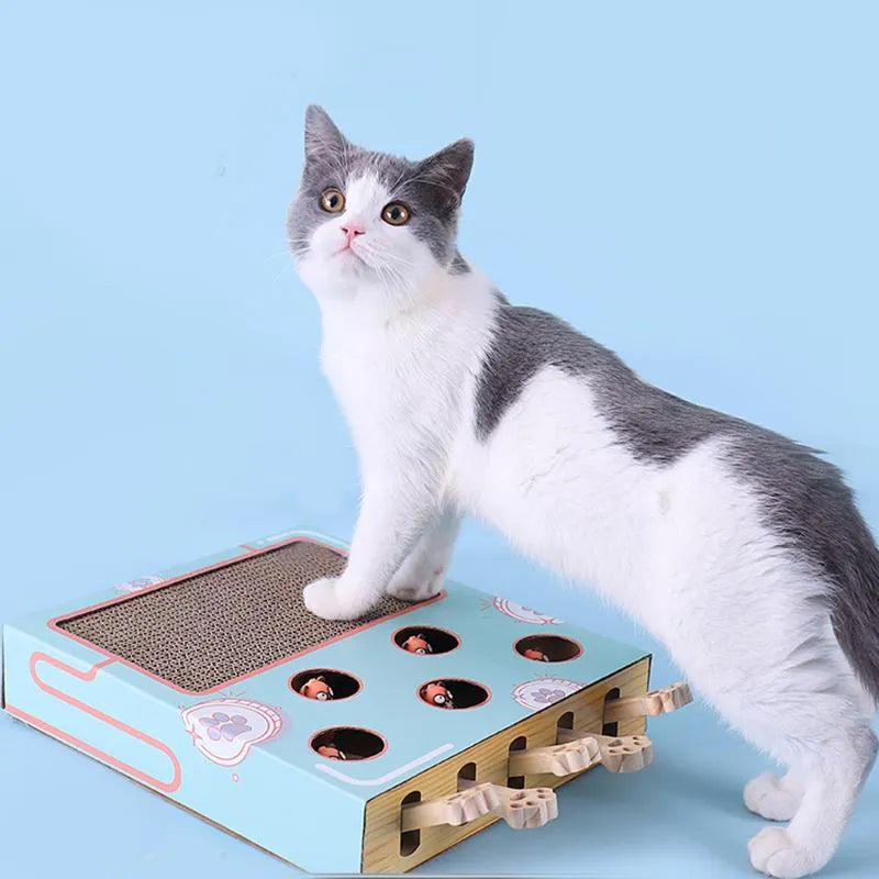 Simba | Krab- en Speelmat voor katten