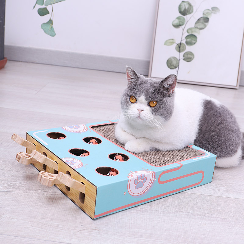 Simba | Krab- en Speelmat voor katten