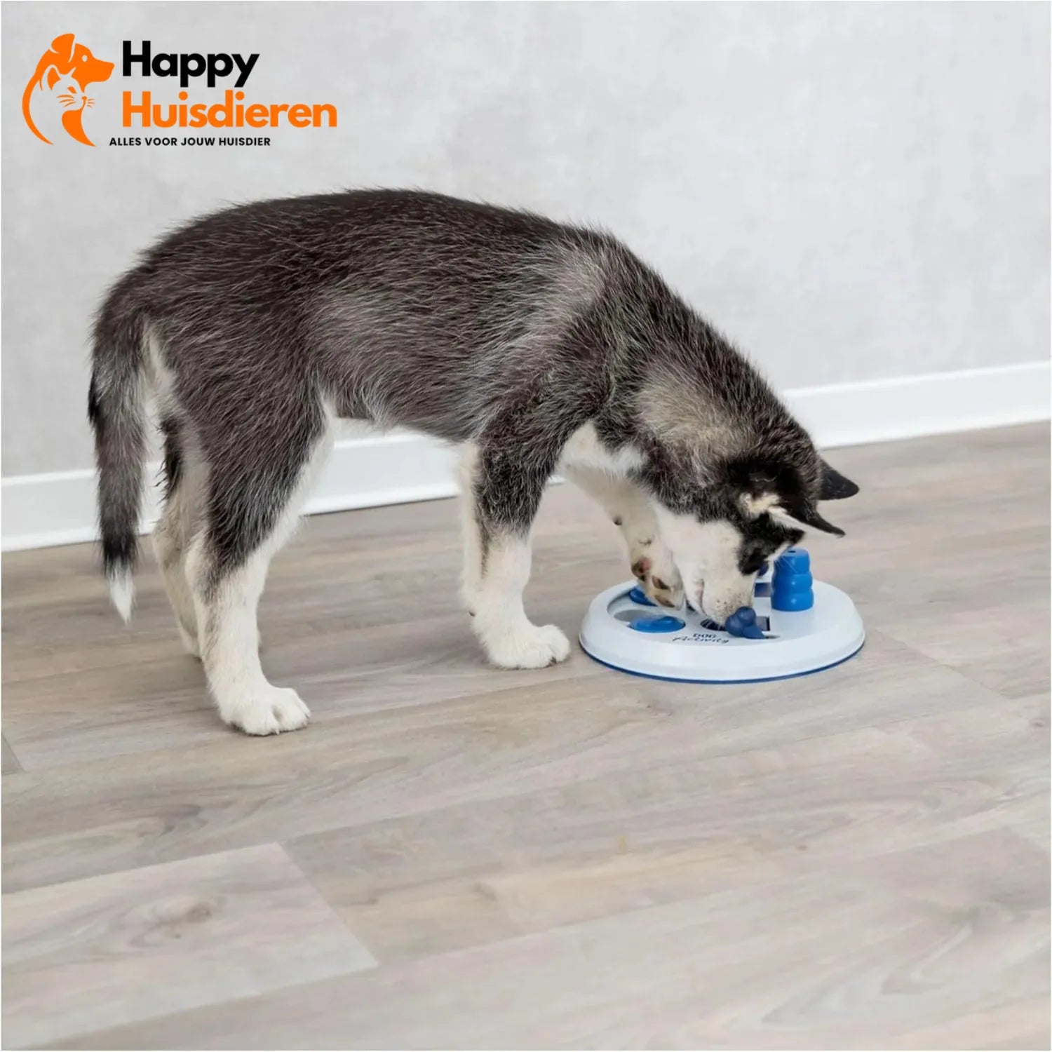 Smart Game Flipboard | Interactief intelligentiespeelgoed voor honden