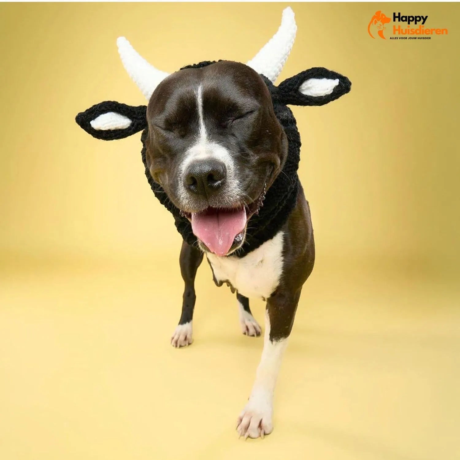 SnugCap | Gebreide hondenmuts met warme oorbescherming