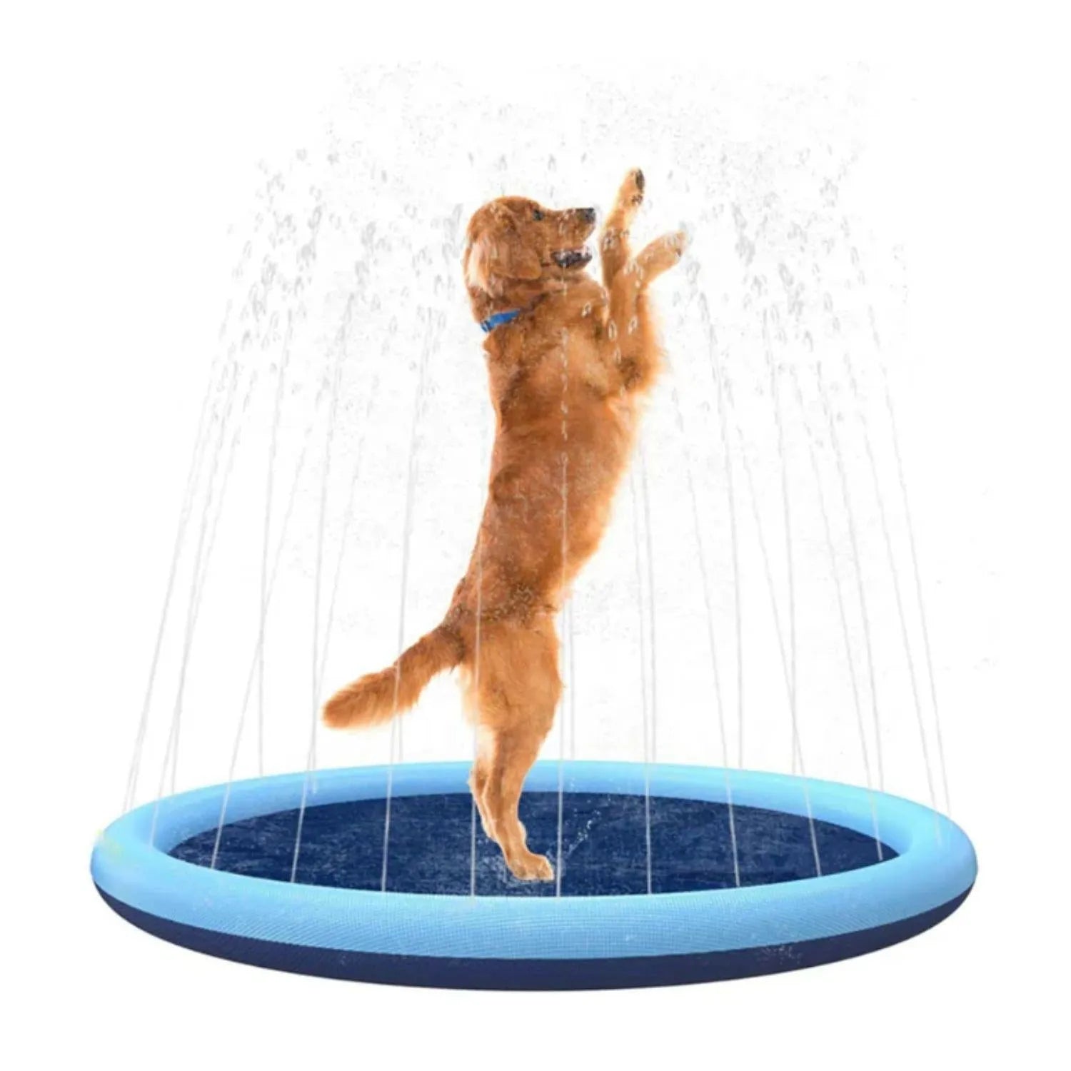 SplashPaw Pool | Opvouwbaar honden speelbadje met sproeierfunctie & antislipbodem