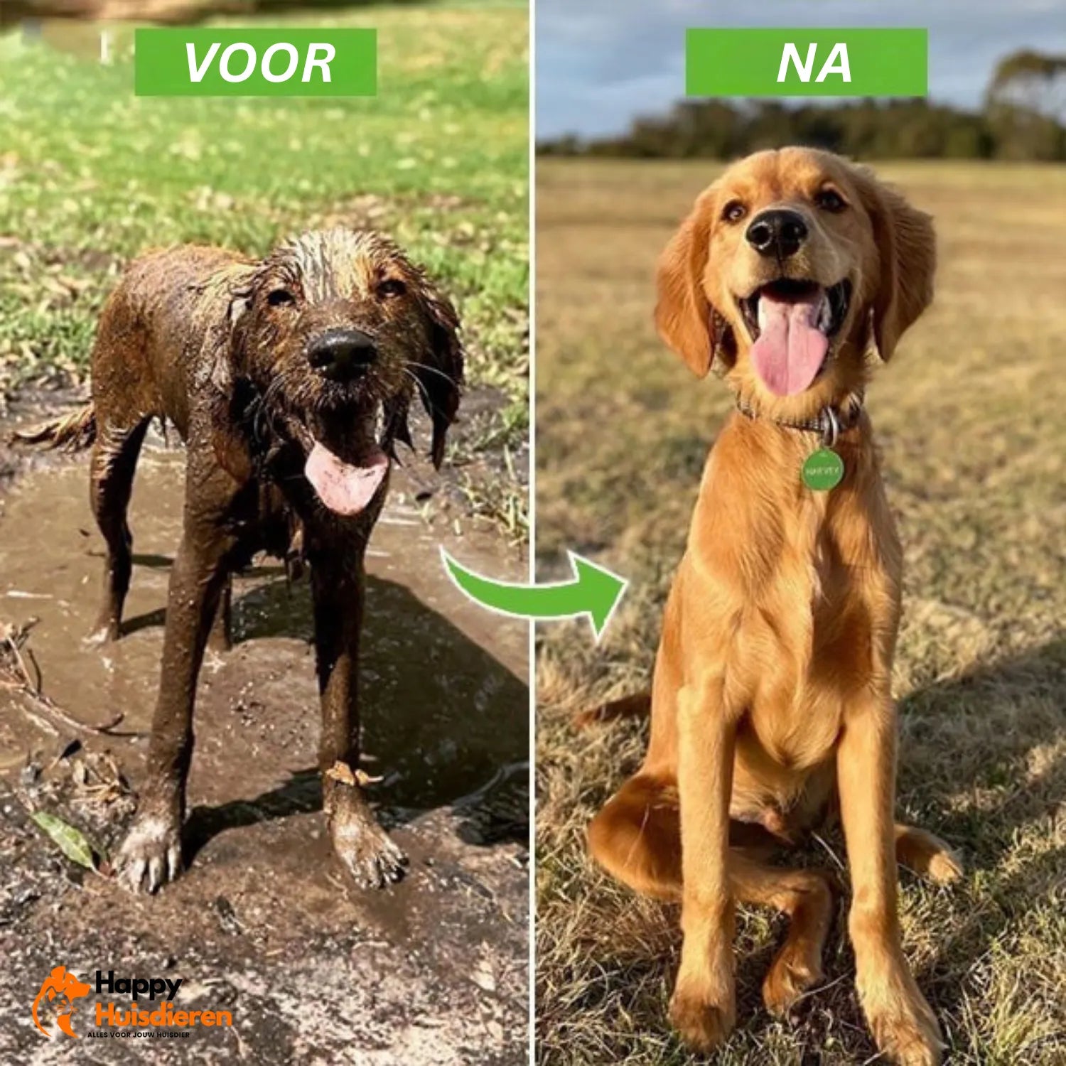 SprayMaatje Pro | Handige Honden Douche Sproeier voor Snel en Gemakkelijk Wassen