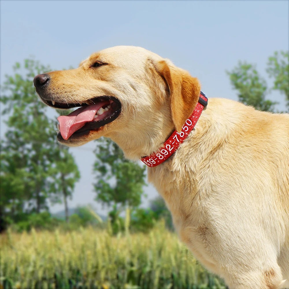 StitchSafe Halsband | Op Maat Geborduurde Nylon Halsband voor Honden