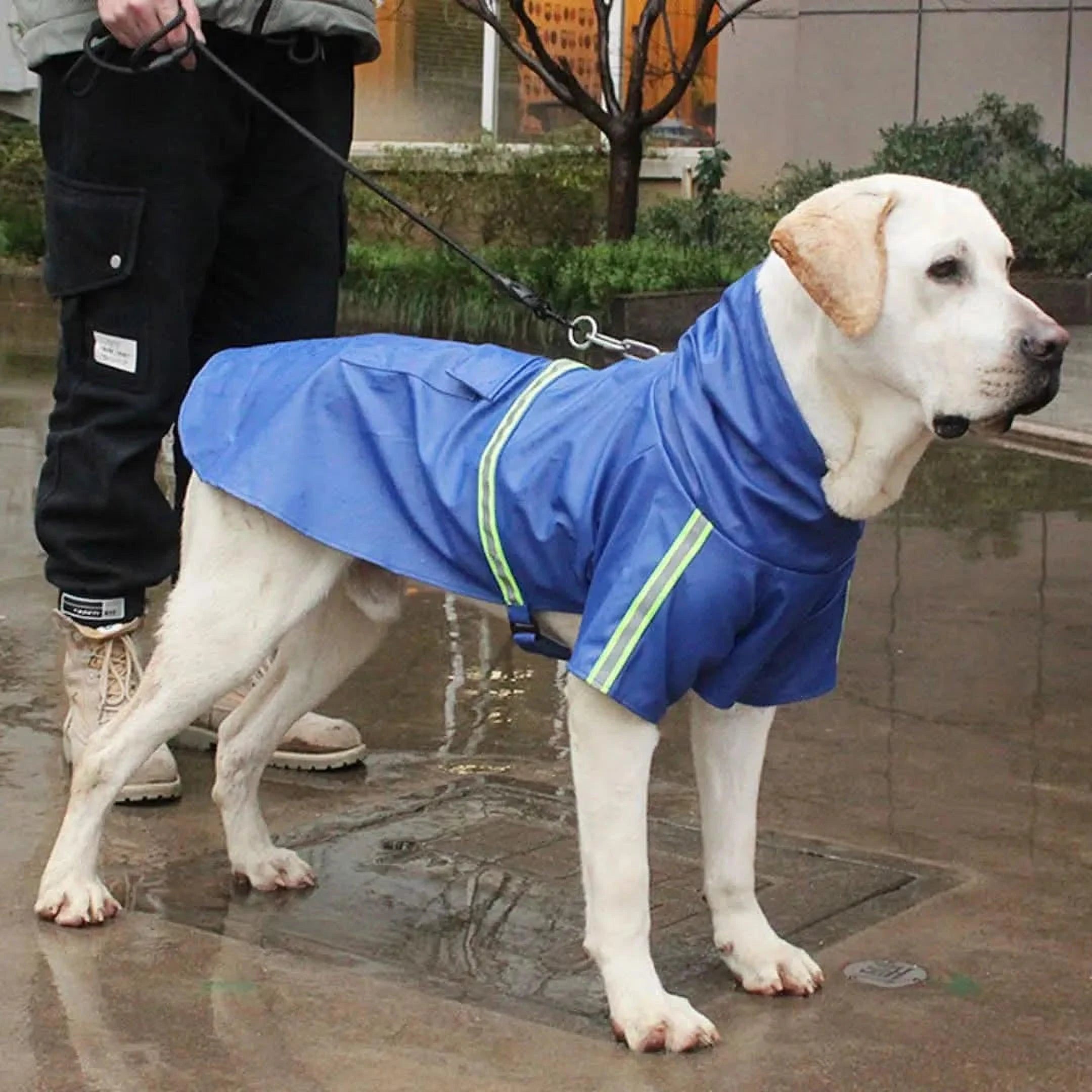 StormTrend Jas | Waterdichte en Duurzame Mackintosh voor Alle Weersomstandigheden