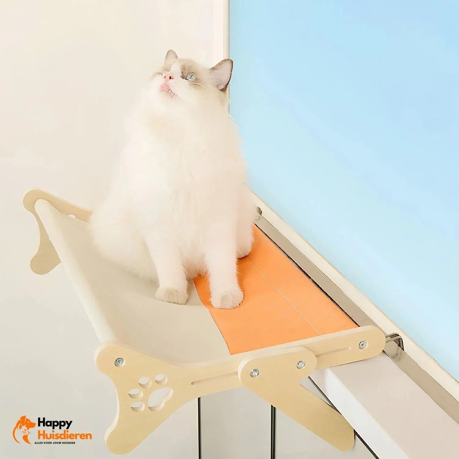 Sunny Spot Bed | Ruim Kattenligbed met Zuignappen voor het Raam