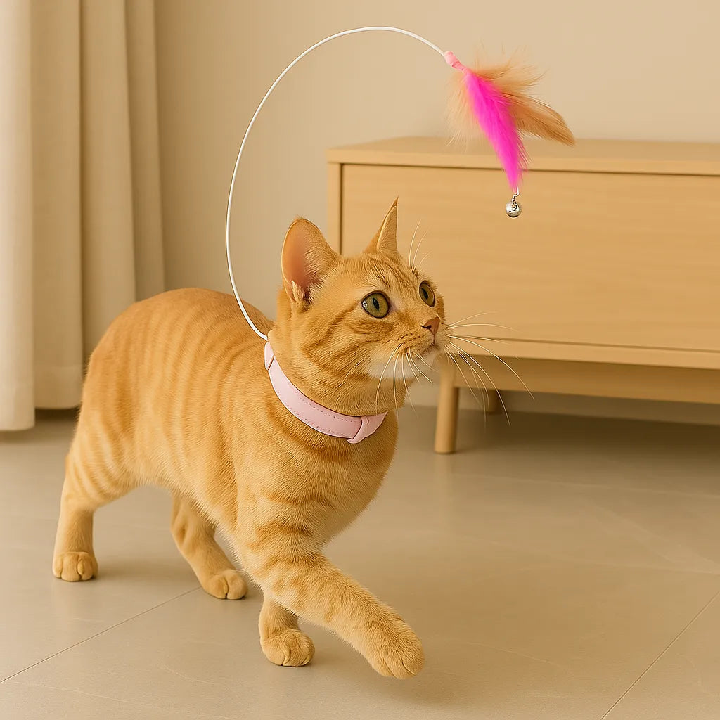 Tail Chaser - Interactief halsbandje