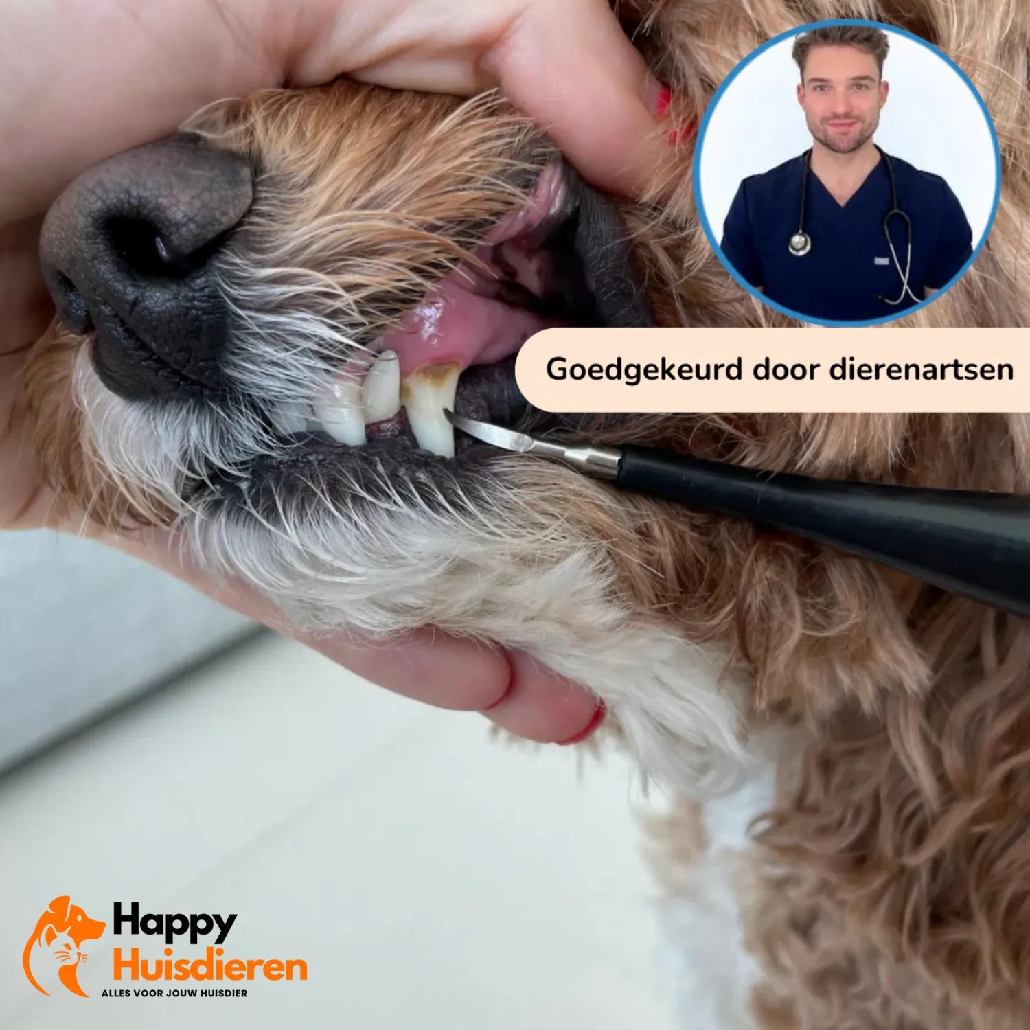 Tandenpoetspootje | Volledige Mondverzorging voor Honden
