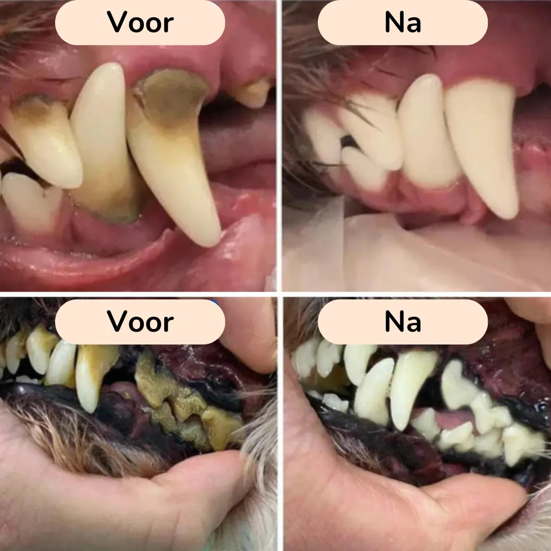 Tandenpoetspootje | Volledige Mondverzorging voor Honden