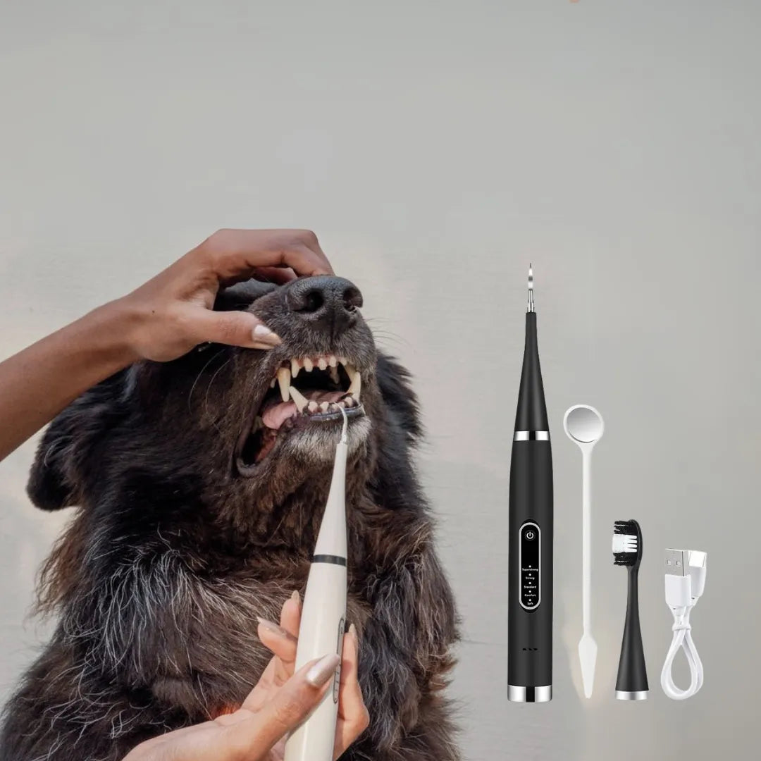 Tandenpoetspootje | Volledige Mondverzorging voor Honden