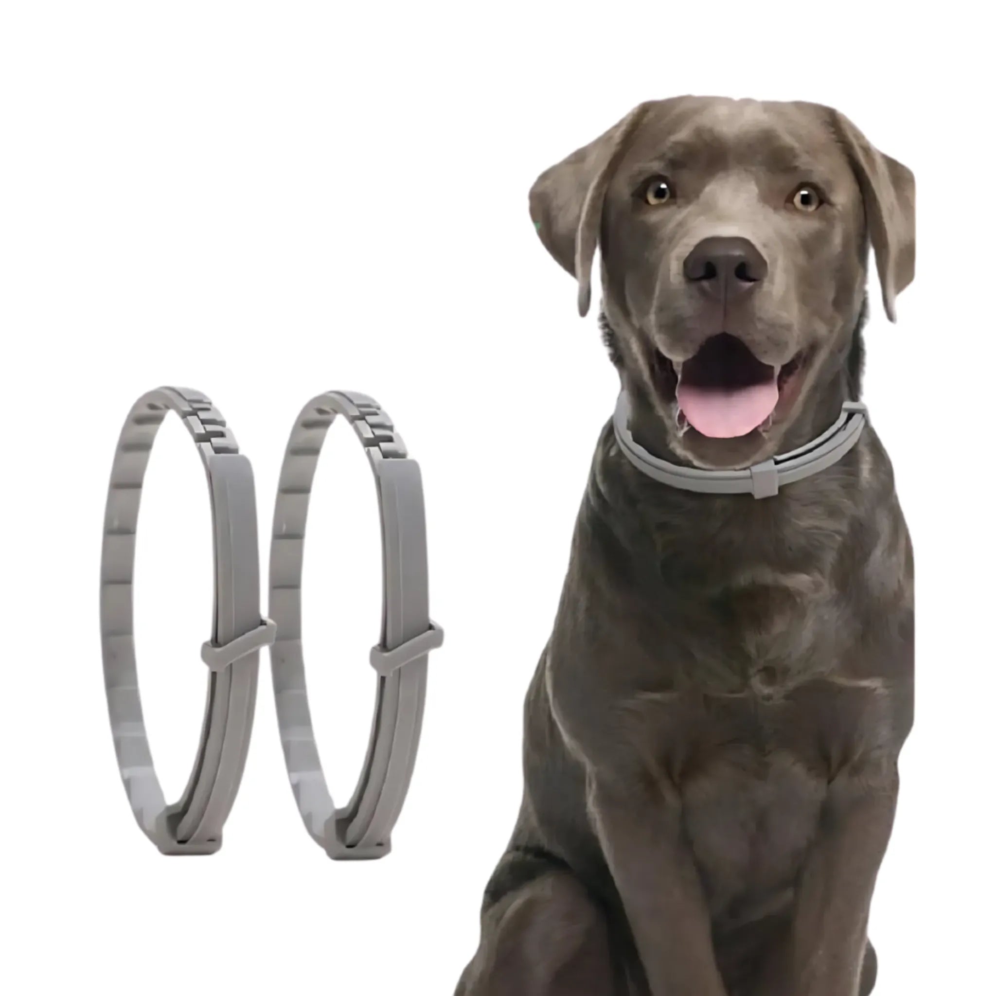 TekenStopper Halsband | Natuurlijke Bescherming voor Huisdieren