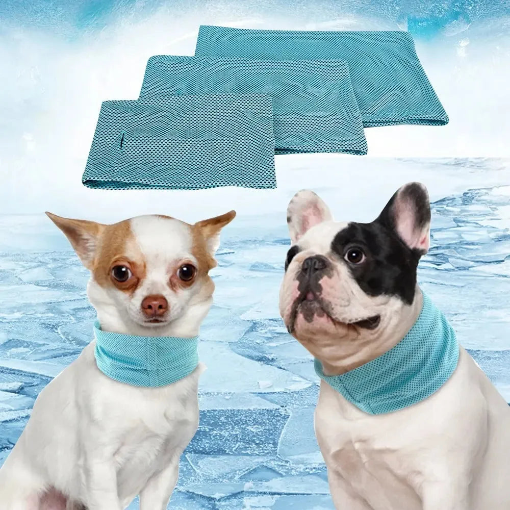 Thor | Koelband Voor Honden Zomer