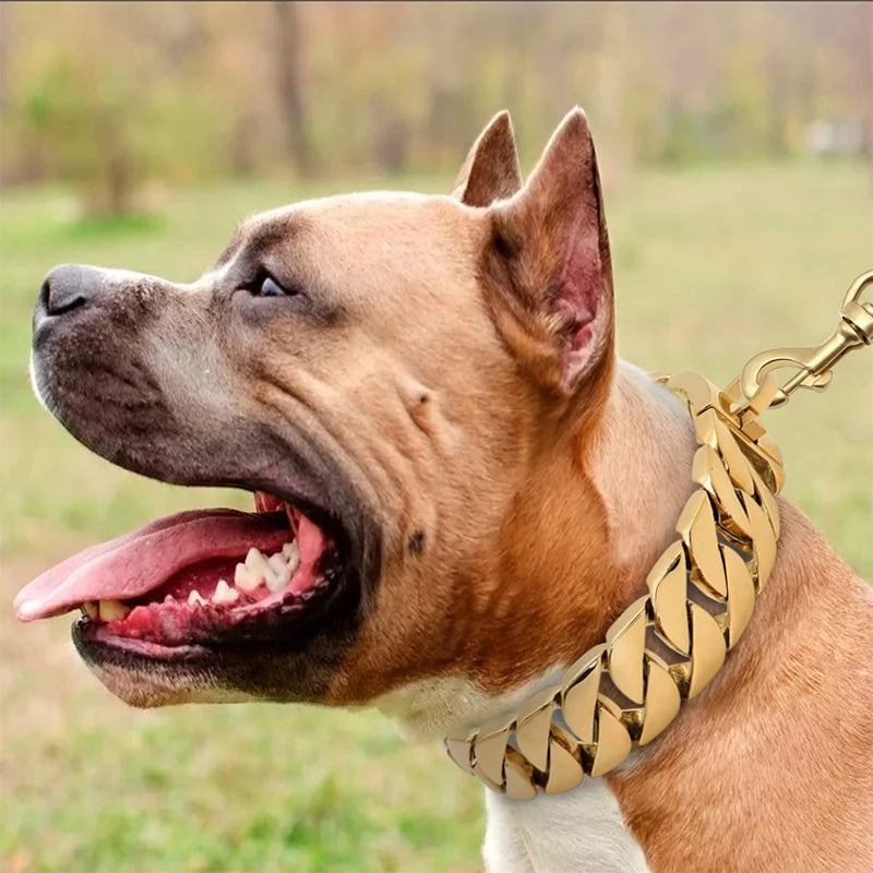TitanPaw Luxe Hondenketting | Stevige Metalen Halsband voor Grote Honden