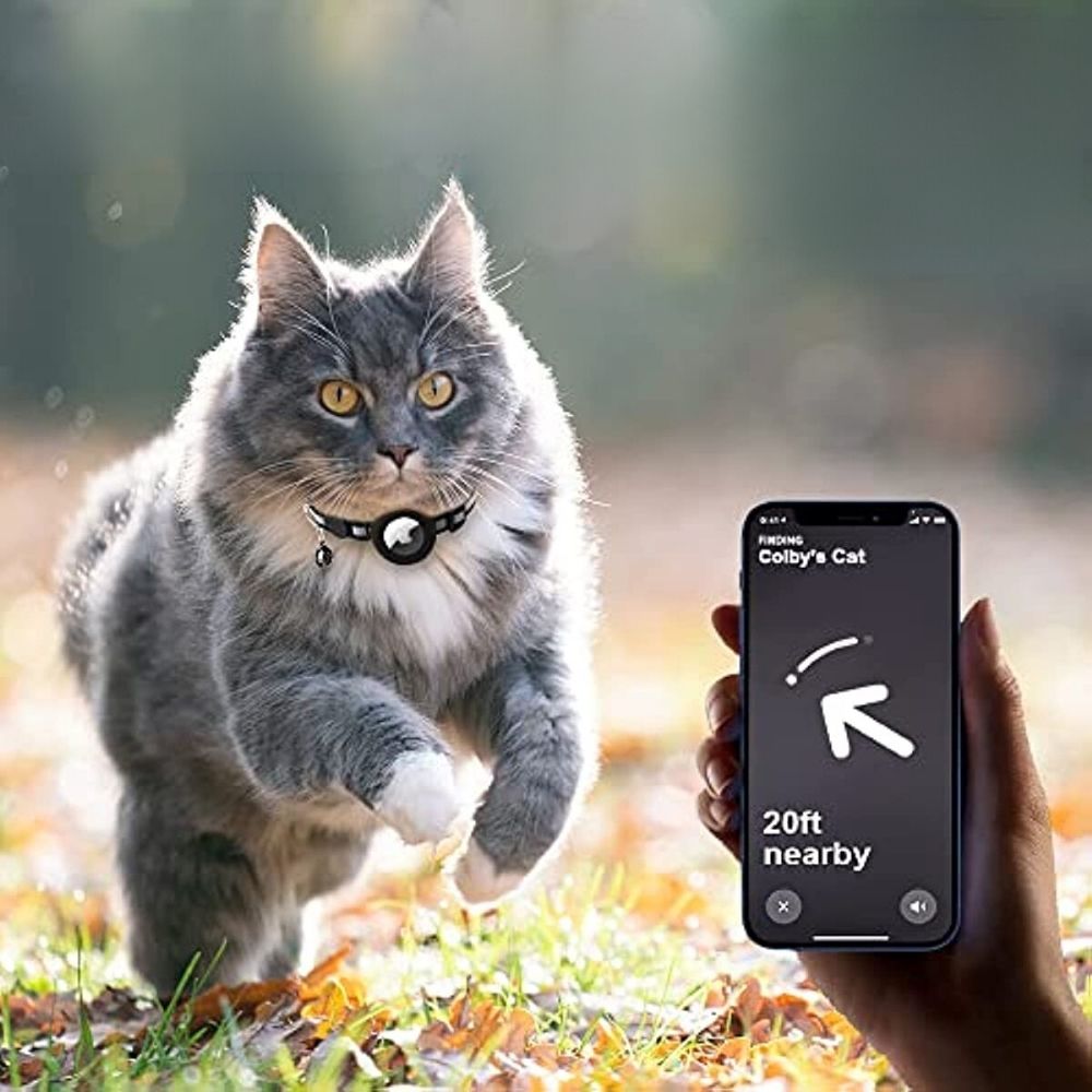 TrackTail Collar | Katten GPS halsband met veiligheidsluiting