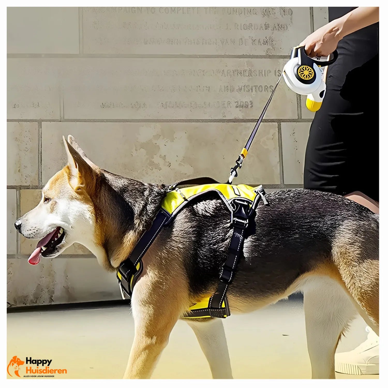 Veiligheidslijn Pro | Automatische, explosieveilige intrekbare hondenriem voor middelgrote tot grote honden