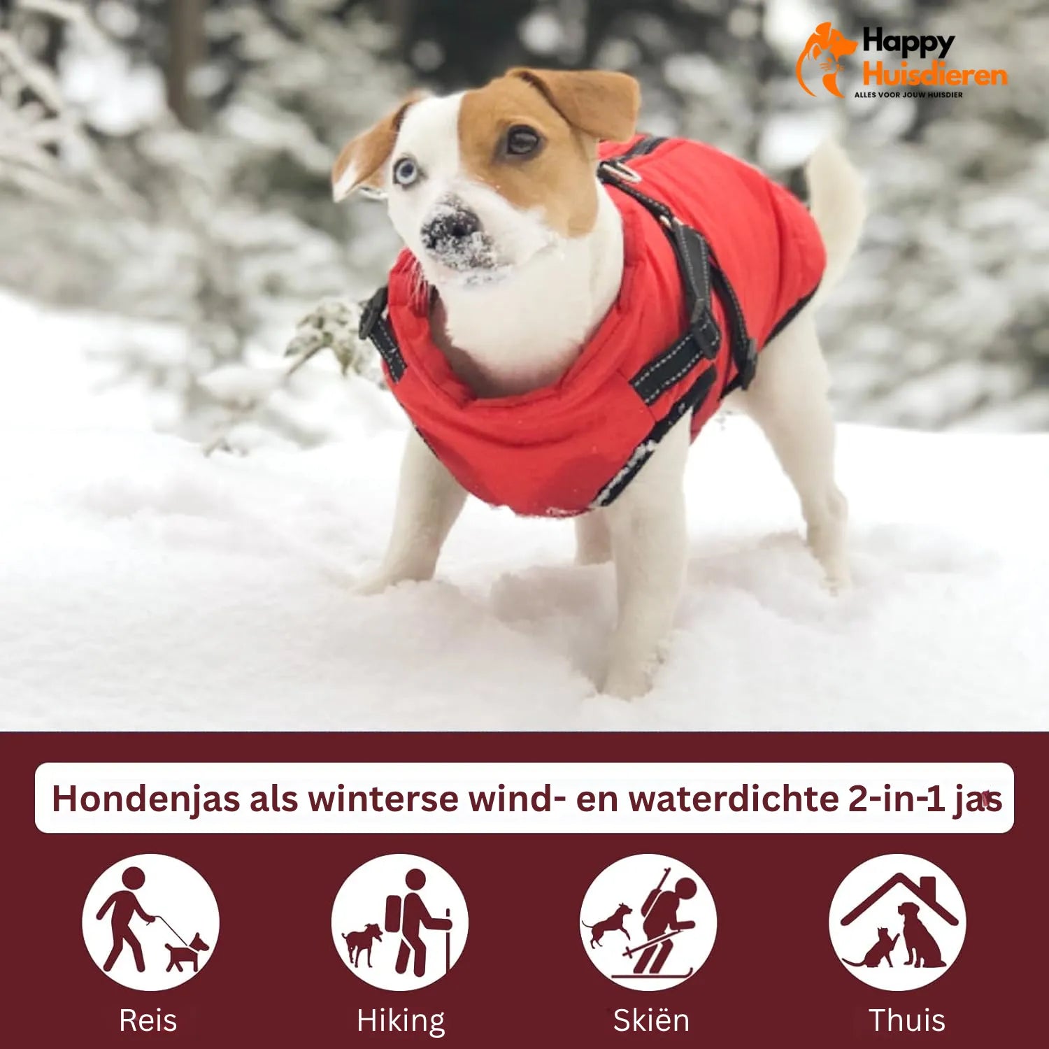 WandelWolken Jas | Waterdichte Hondenjas voor Regenachtige Dagen