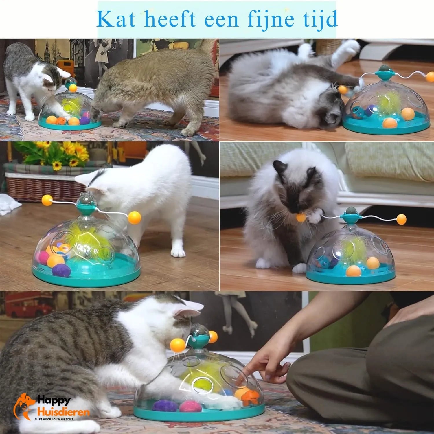 WhirlPlay Set | Interactieve puzzel voor nieuwsgierige huisdieren