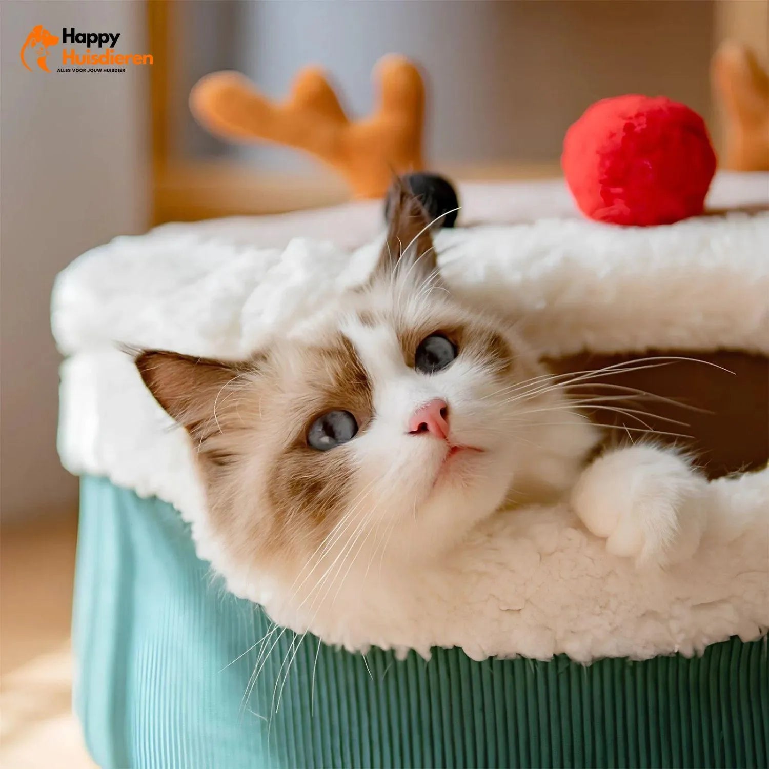 WinterWhisker Nest | Gezellige Kerstgrot voor Katten