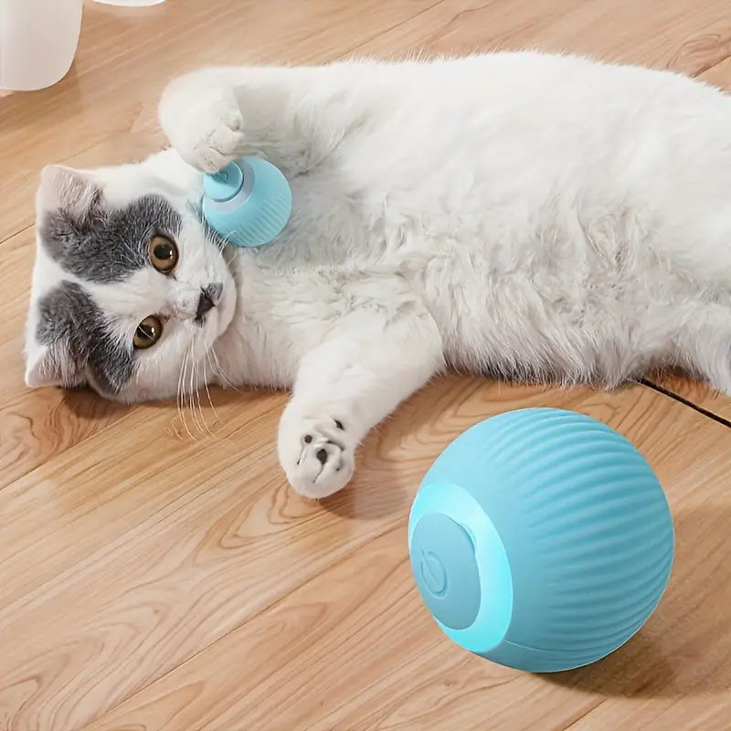 ZapZoom | Interactief speeltje voor honden en katten – oplaadbaar