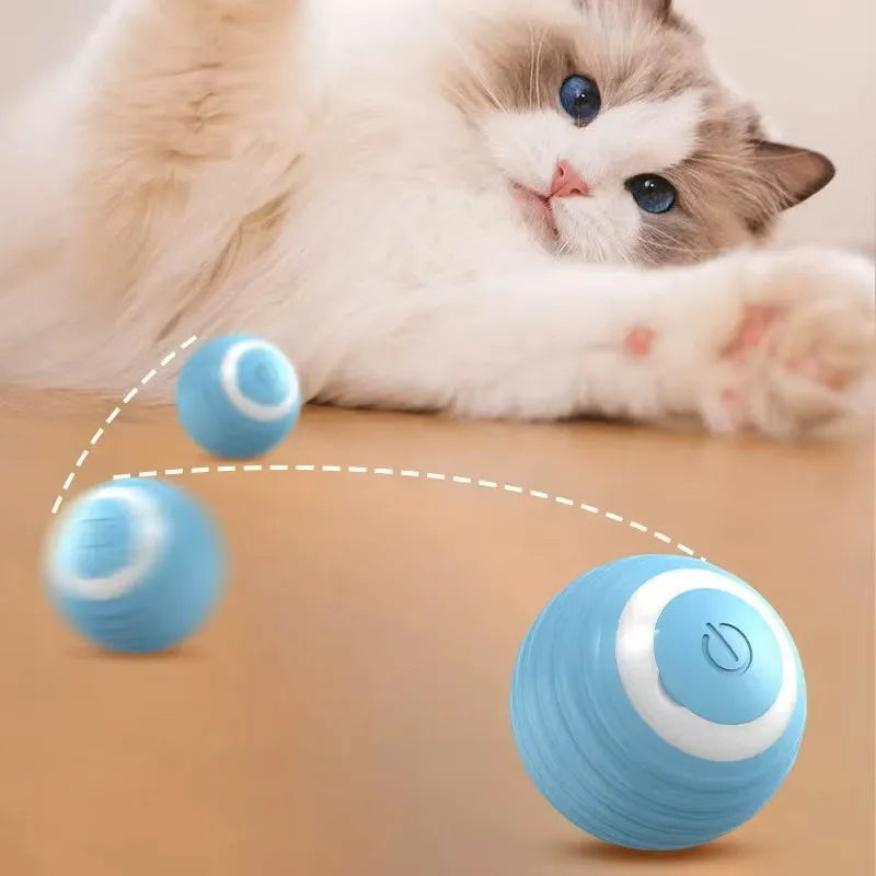 ZapZoom | Interactief speeltje voor honden en katten – oplaadbaar
