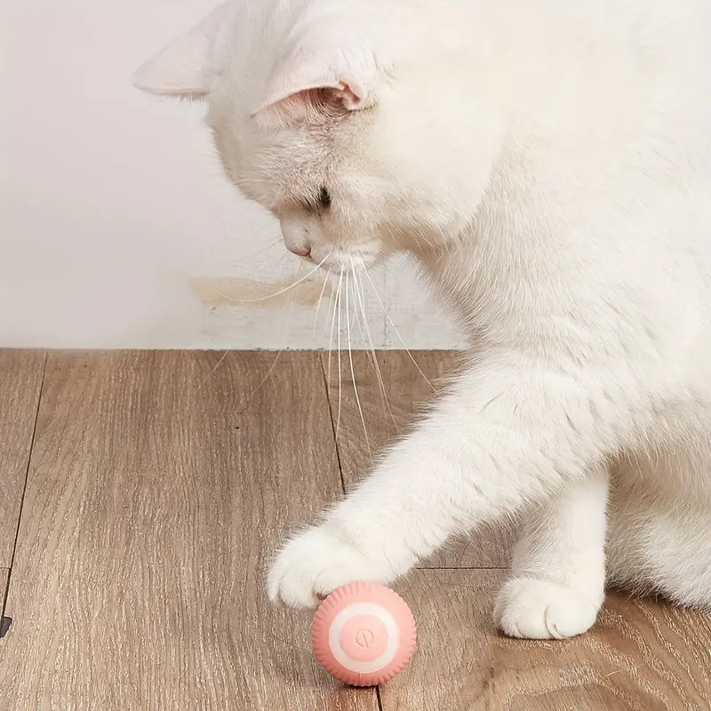 ZapZoom | Interactief speeltje voor honden en katten – oplaadbaar