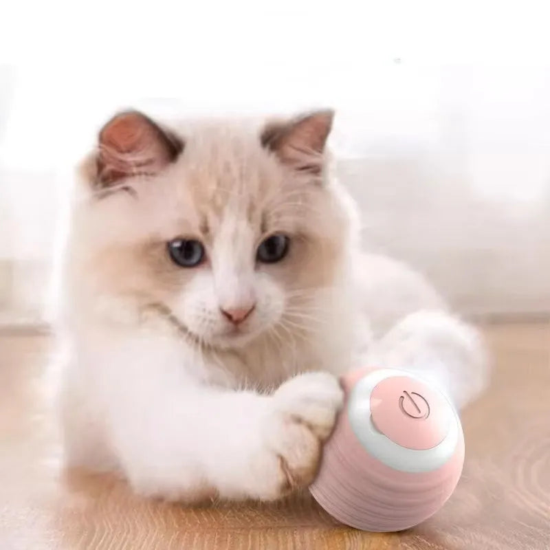 ZapZoom | Interactief speeltje voor honden en katten – oplaadbaar