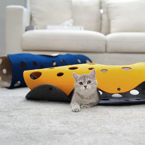 Zazu | Speelparadijs voor nieuwsgierige en actieve katten