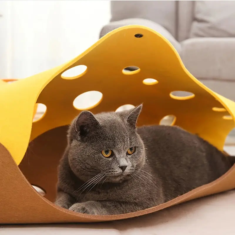 Zazu | Speelparadijs voor nieuwsgierige en actieve katten