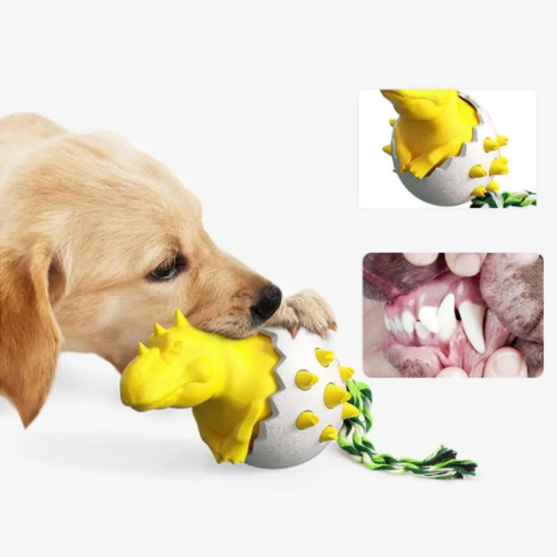 Zorro | Kauwspeelgoed voor Honden