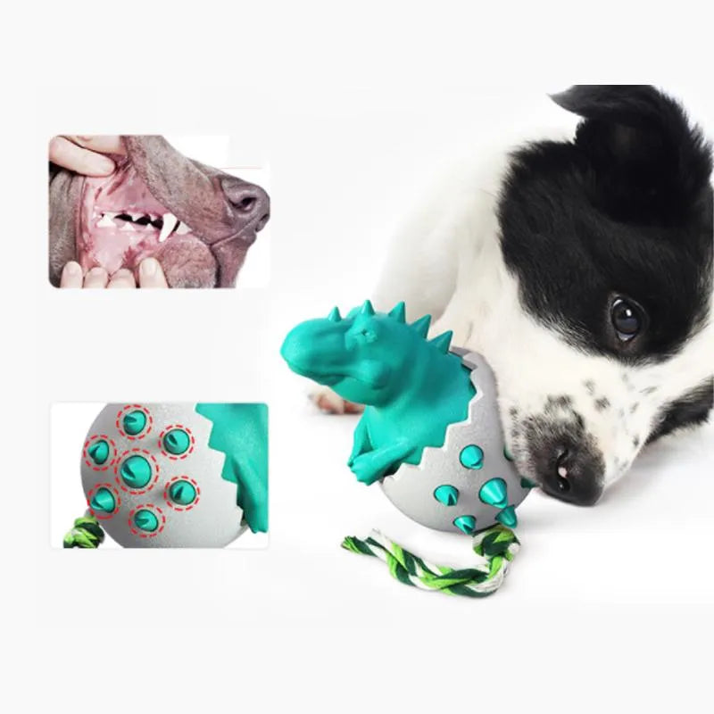 Zorro | Kauwspeelgoed voor Honden