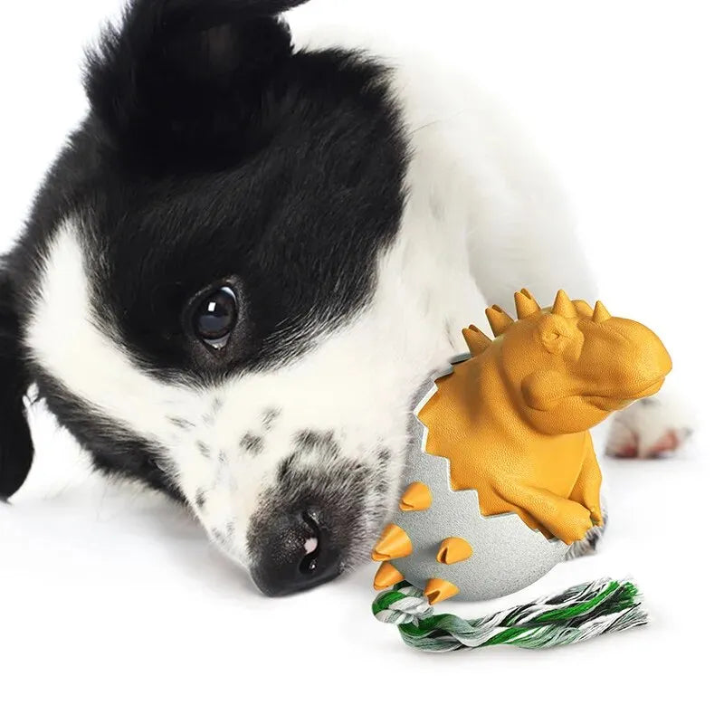 Zorro | Kauwspeelgoed voor Honden