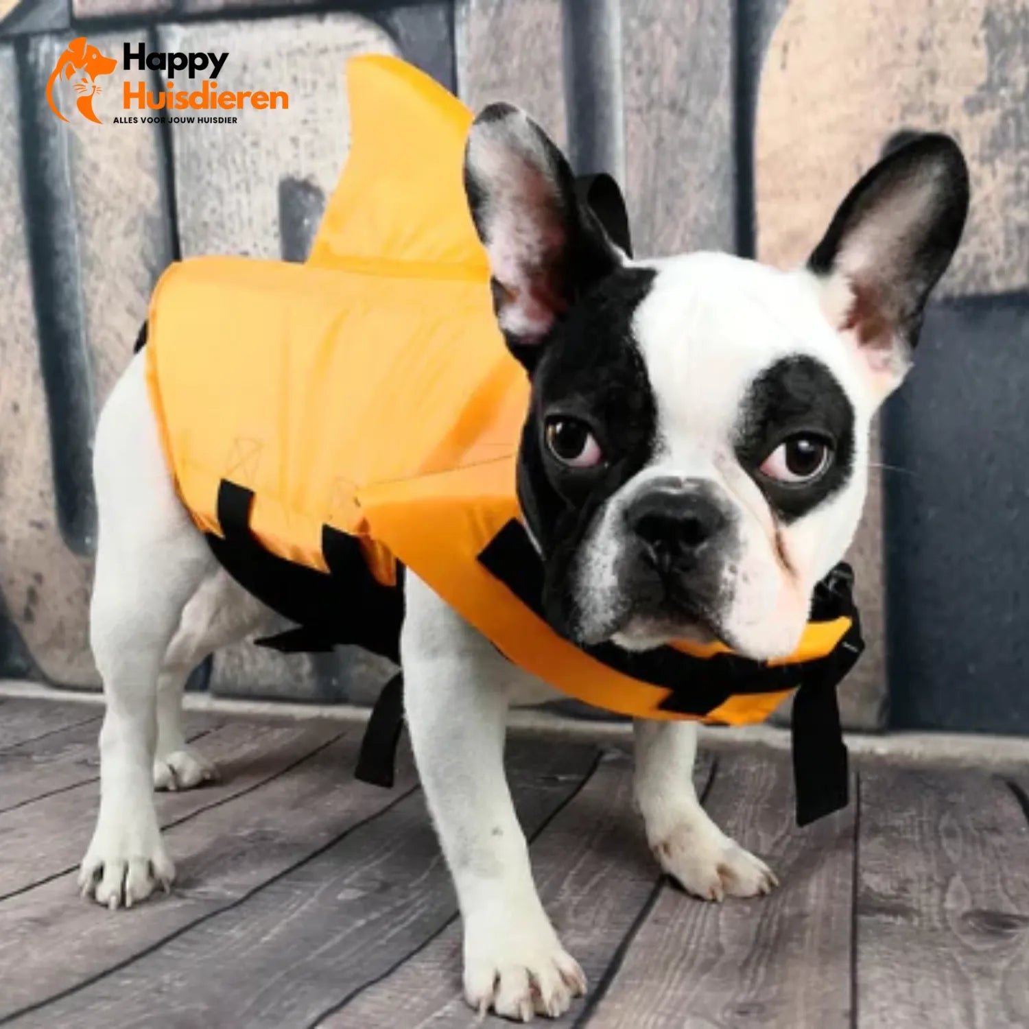 Zwemvest voor Honden – Lichtgewicht Reddingsvest met Handgreep, Verstelbaar & Reflecterend (veilig zwemmen/varen)