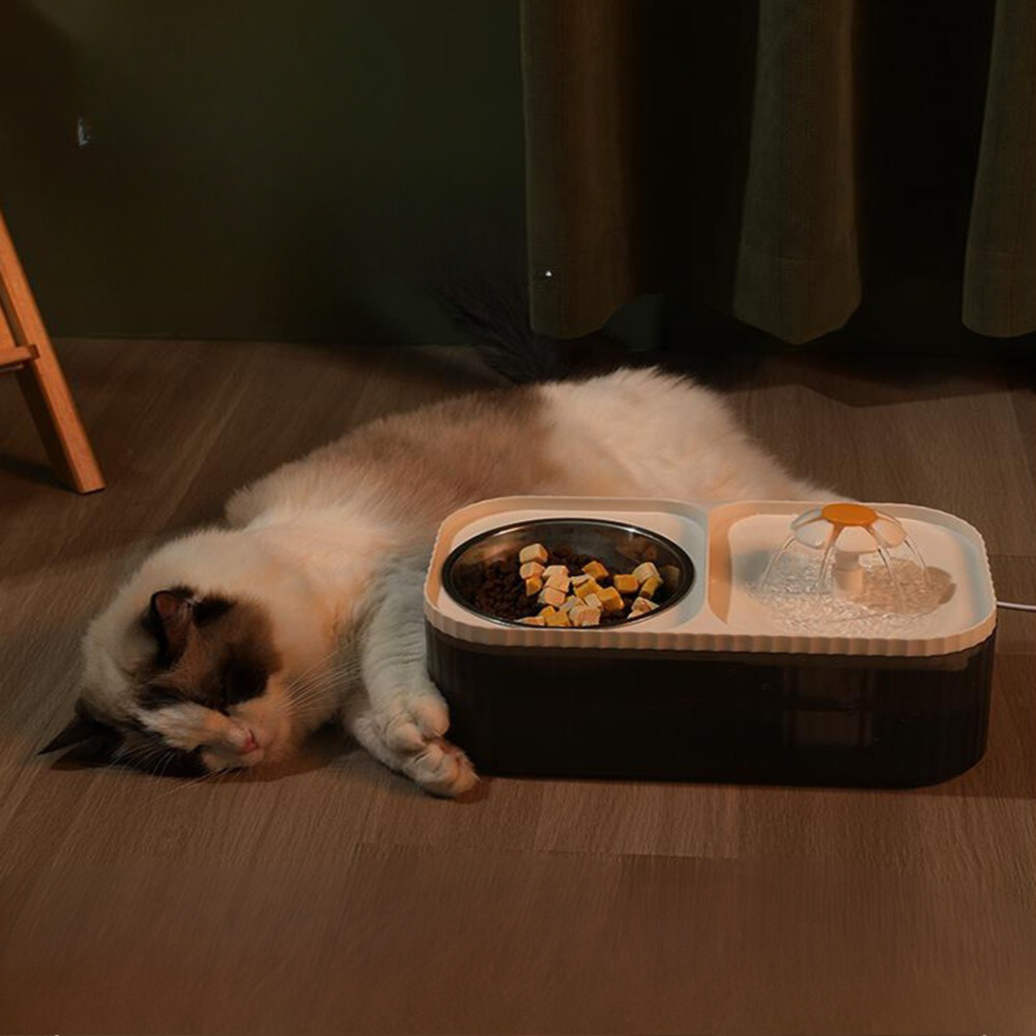 Drinkbak en voerbak met stromend water voor katten en kleine honden
