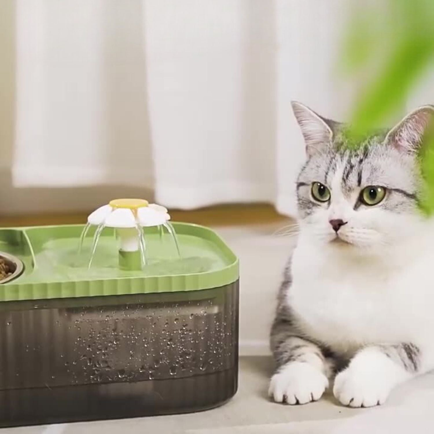 Drinkbak en voerbak met stromend water voor katten en kleine honden