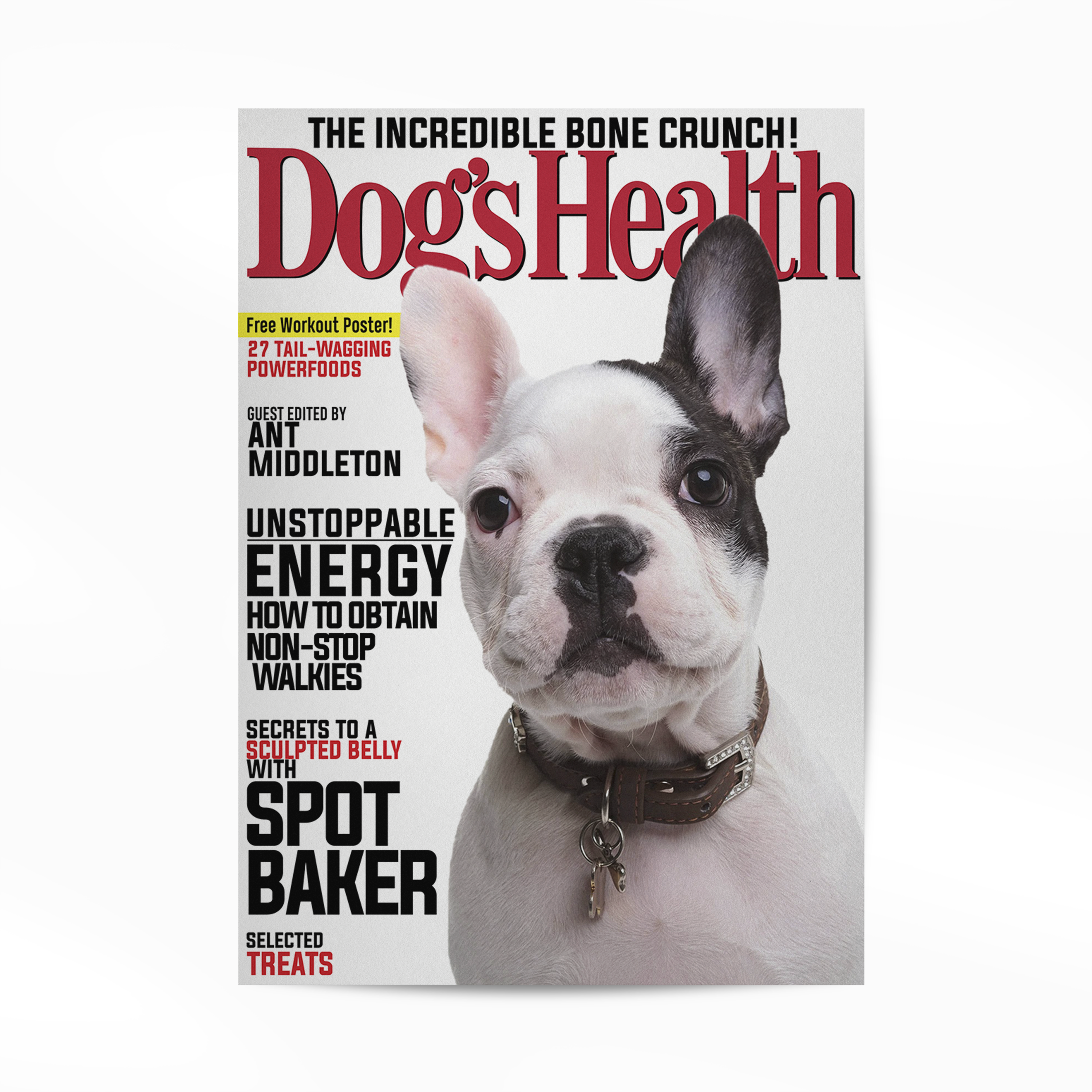 PetMuse | Gepersonaliseerd dierenportret met liefde