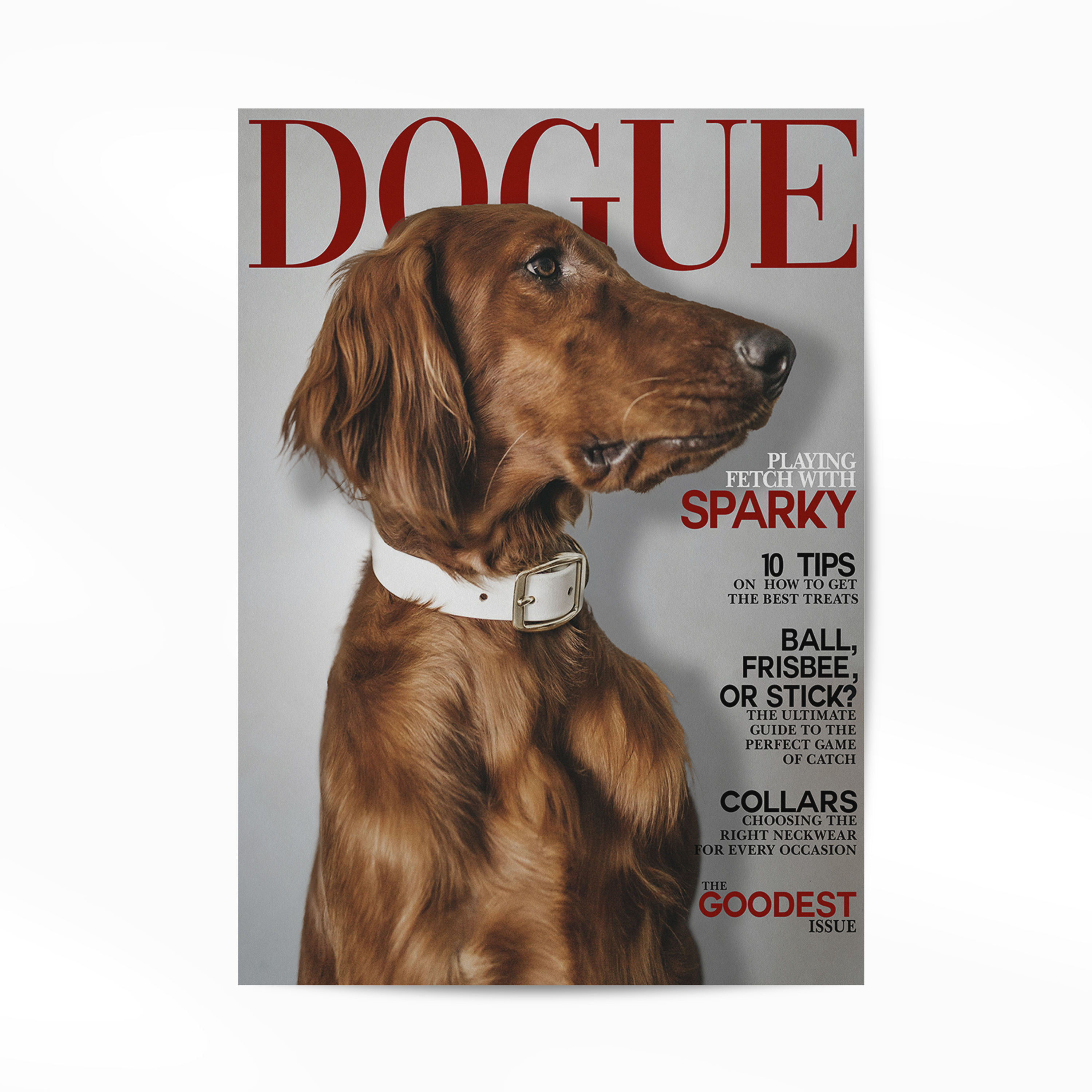 PetMuse | Gepersonaliseerd dierenportret met liefde