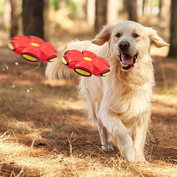 Duurzame vliegende schijf voor honden voor langdurig speelplezier
