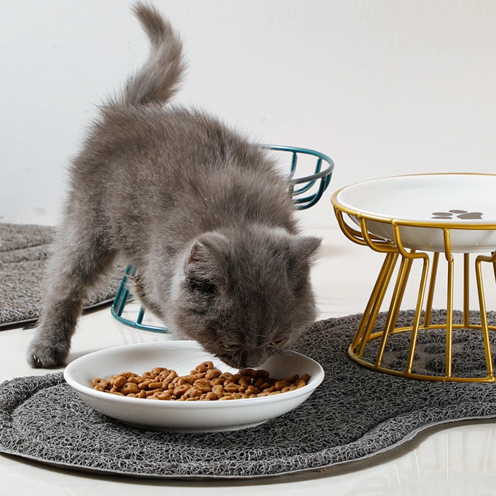 Brede keramische voerbak met standaard voor gemakkelijke voeding van katten en puppies