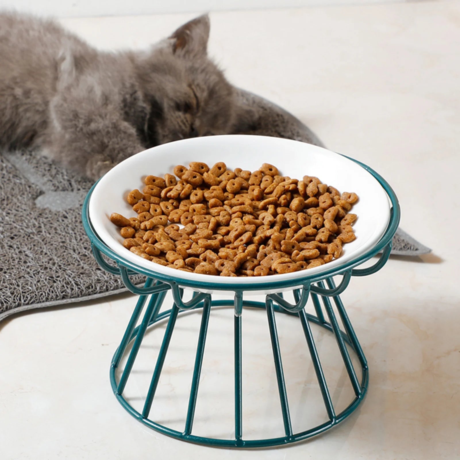 Brede keramische voerbak met standaard voor gemakkelijke voeding van katten en puppies