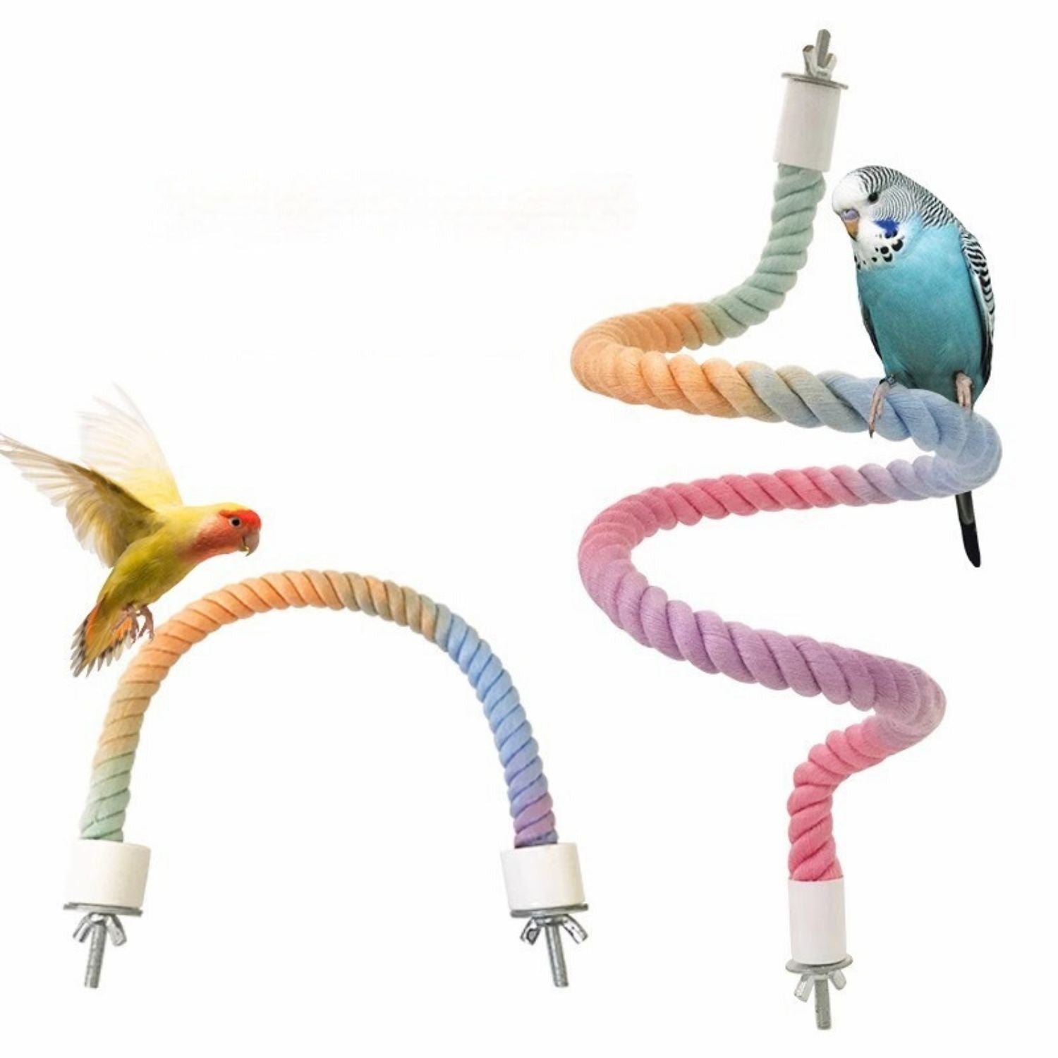 Kleurrijk klimtouw voor actieve vogels in een vogelkooi