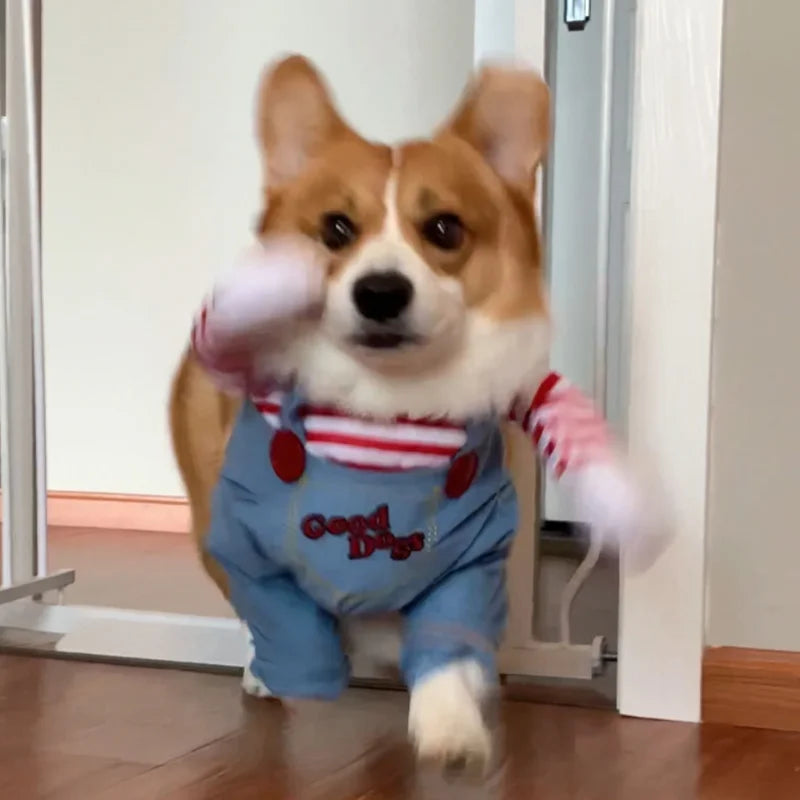 Grappig Chucky kostuum voor honden voor Halloween feest