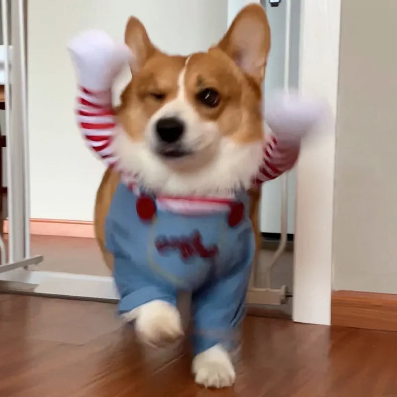 Grappig Chucky kostuum voor honden voor Halloween feest