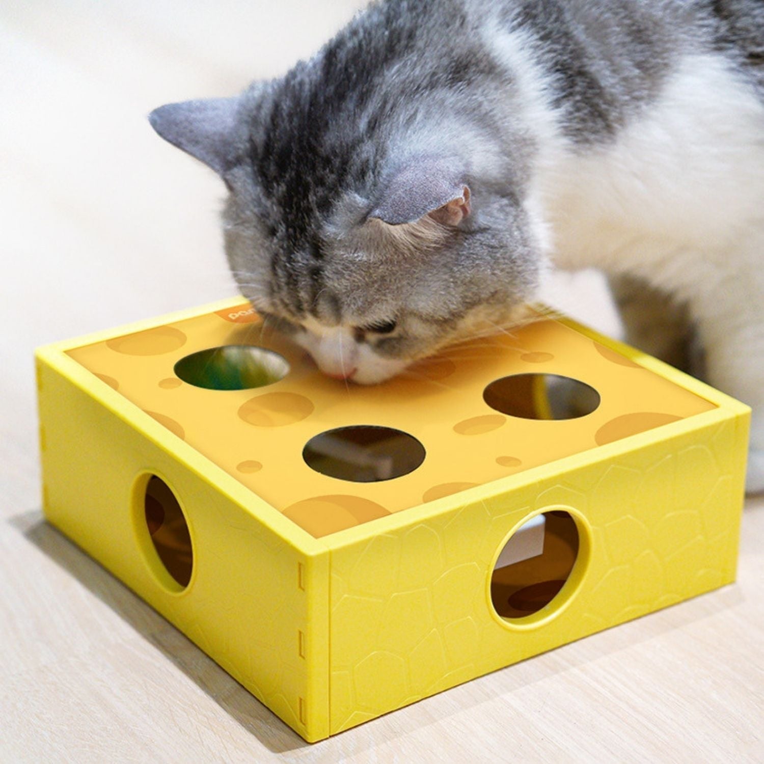 Kattenspeelgoed in de vorm van een kaasdoos met een draaiend veertje voor interactief spelen