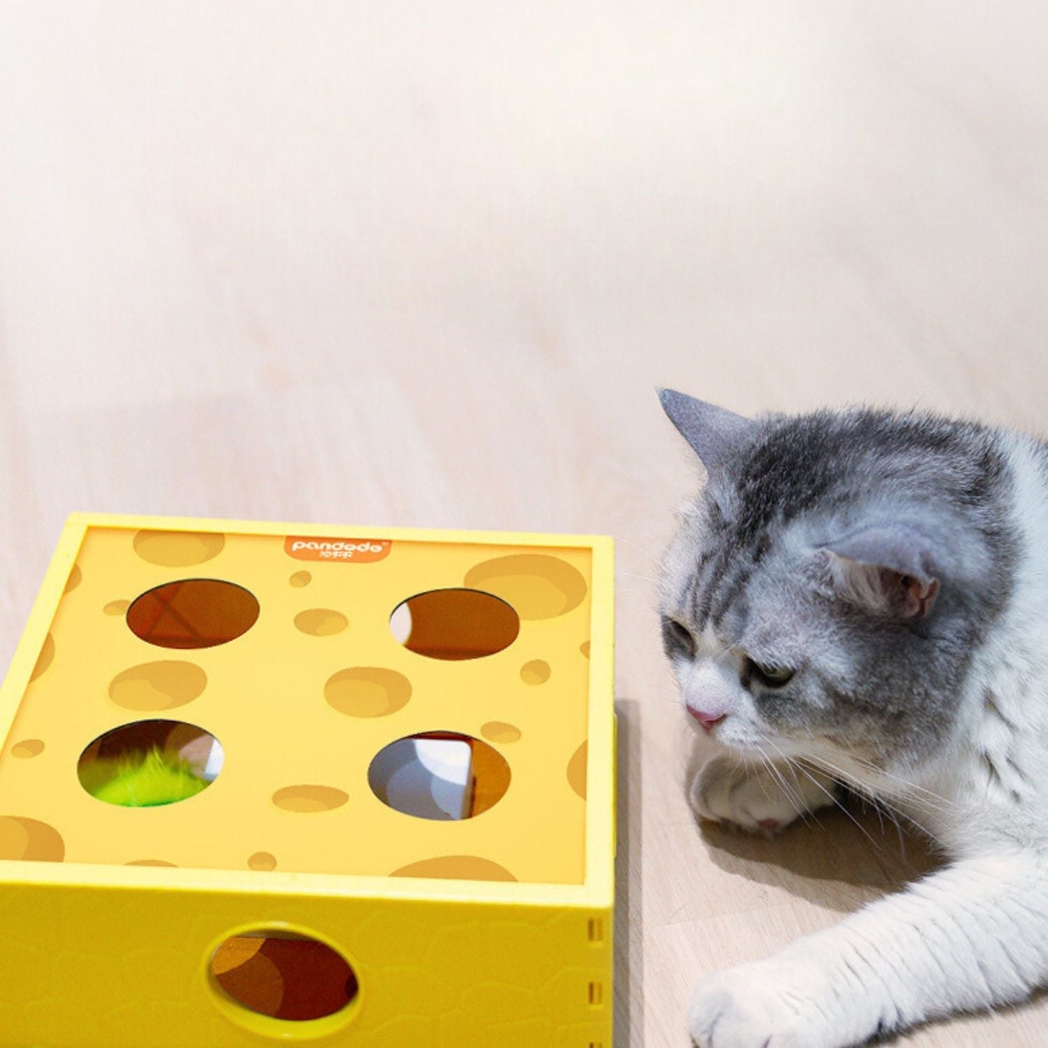 Kattenspeelgoed in de vorm van een kaasdoos met een draaiend veertje voor interactief spelen