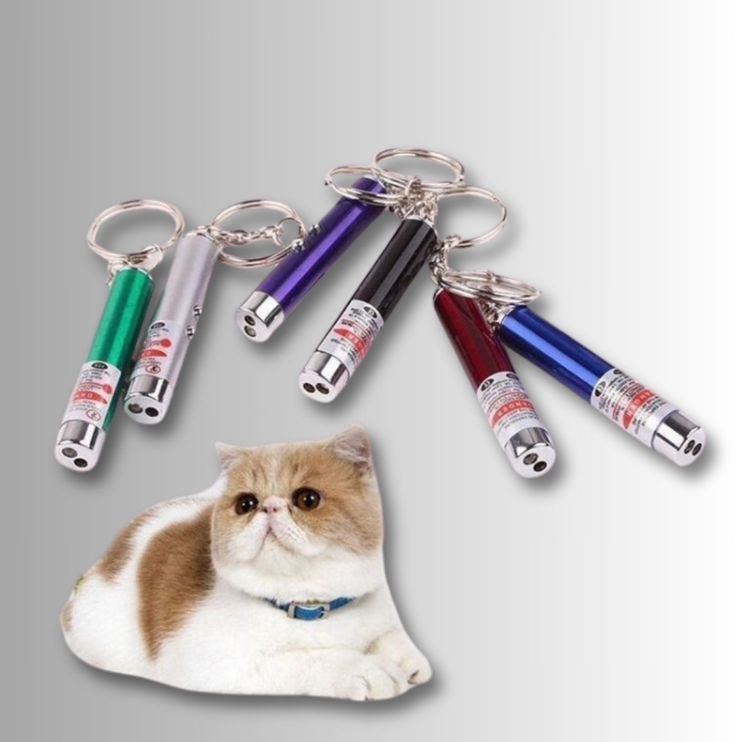 Interactieve laserspeelset voor katten plezier en beweging