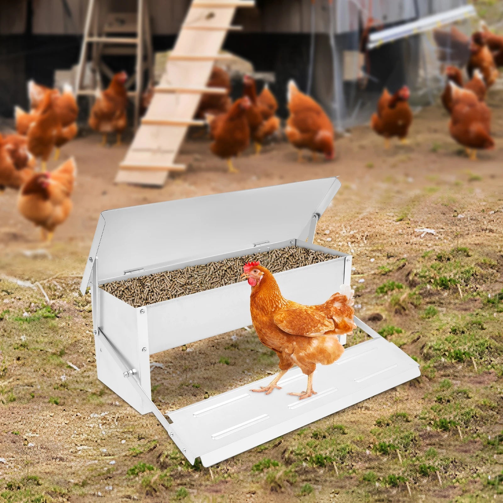 Automatische 5KG voederbak voor kippen gemaakt van verzinkt staal, ideaal voor pluimvee