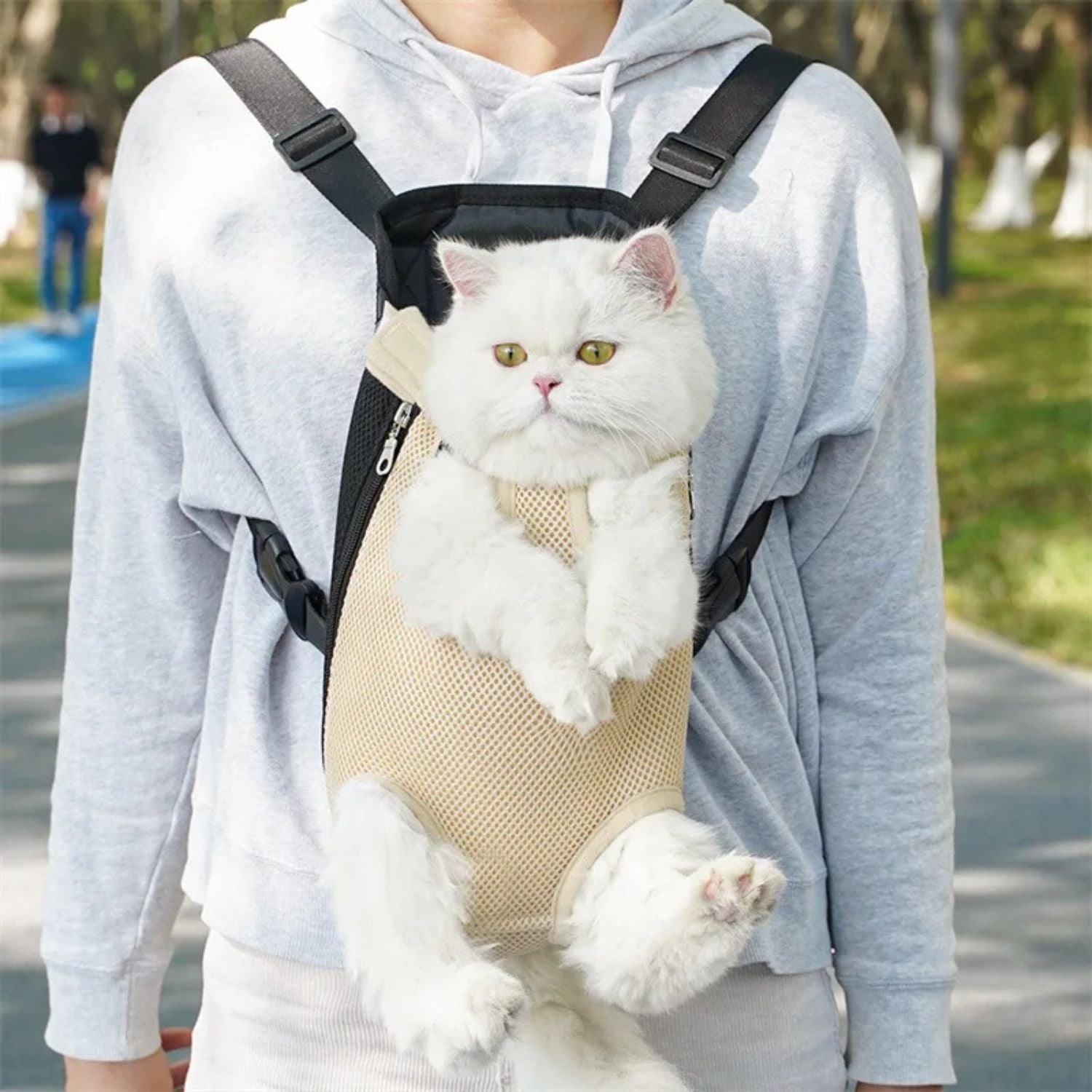 Draagtas voor katten en kleine honden voor een comfortabele reiservaring
